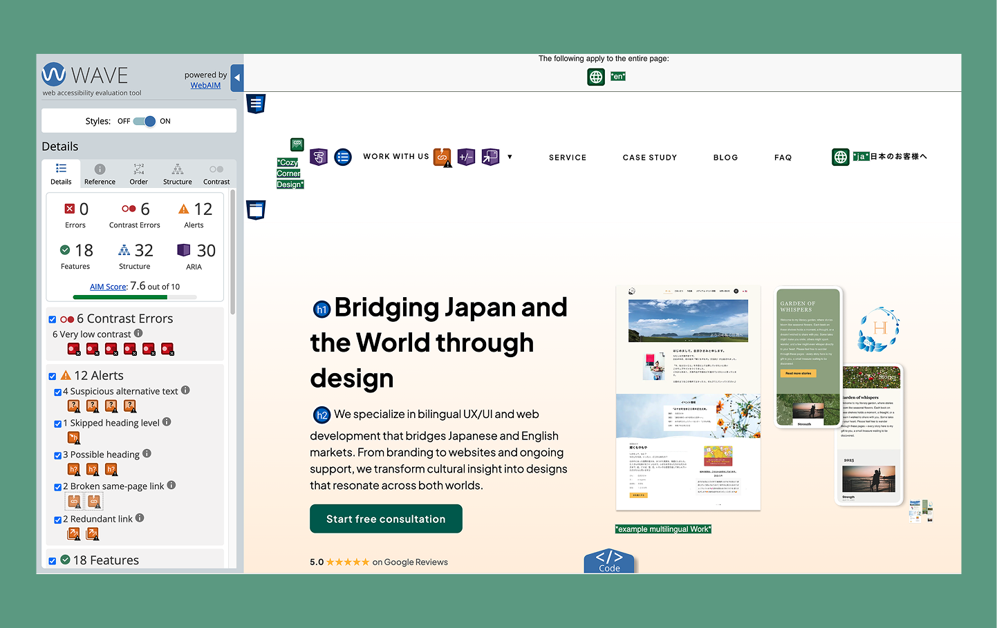 website audit details