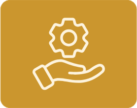 Cultural Guide & Technical Expert